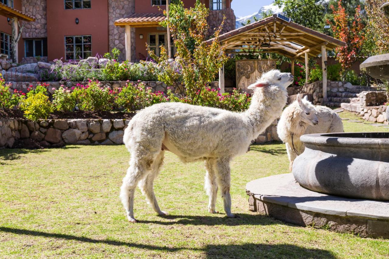 Villa Apu Chicon Urubamba Dış mekan fotoğraf
