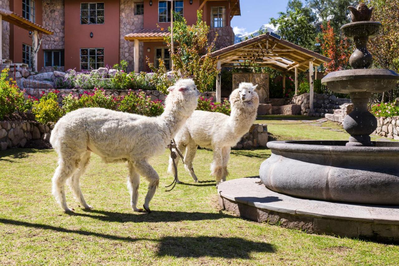 Villa Apu Chicon Urubamba Dış mekan fotoğraf