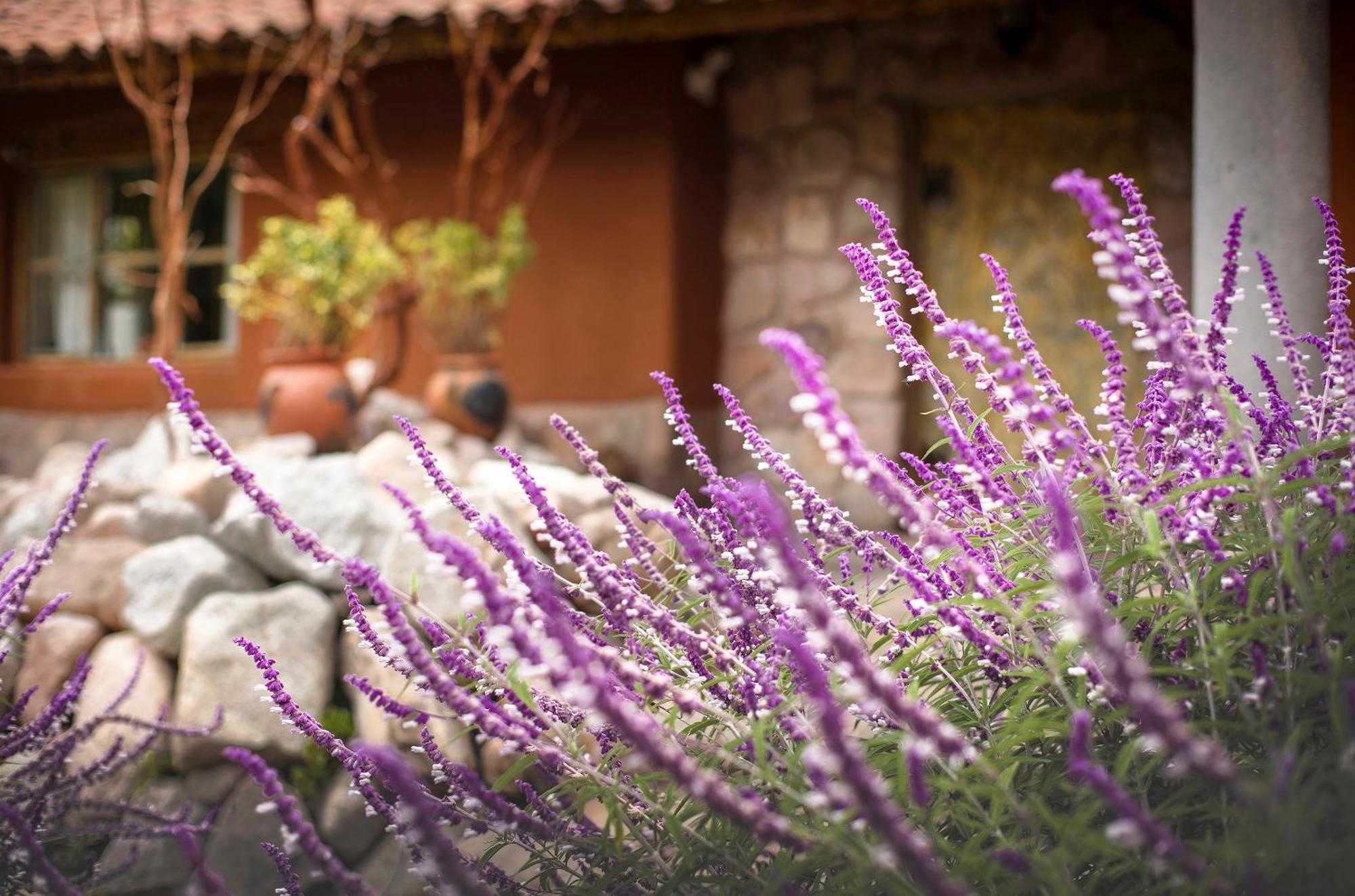 Villa Apu Chicon Urubamba Dış mekan fotoğraf