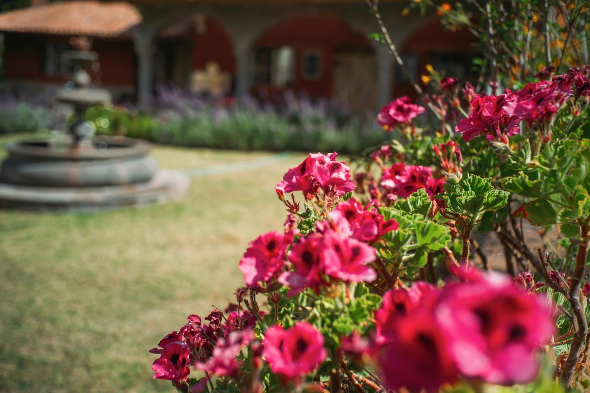 Villa Apu Chicon Urubamba Dış mekan fotoğraf