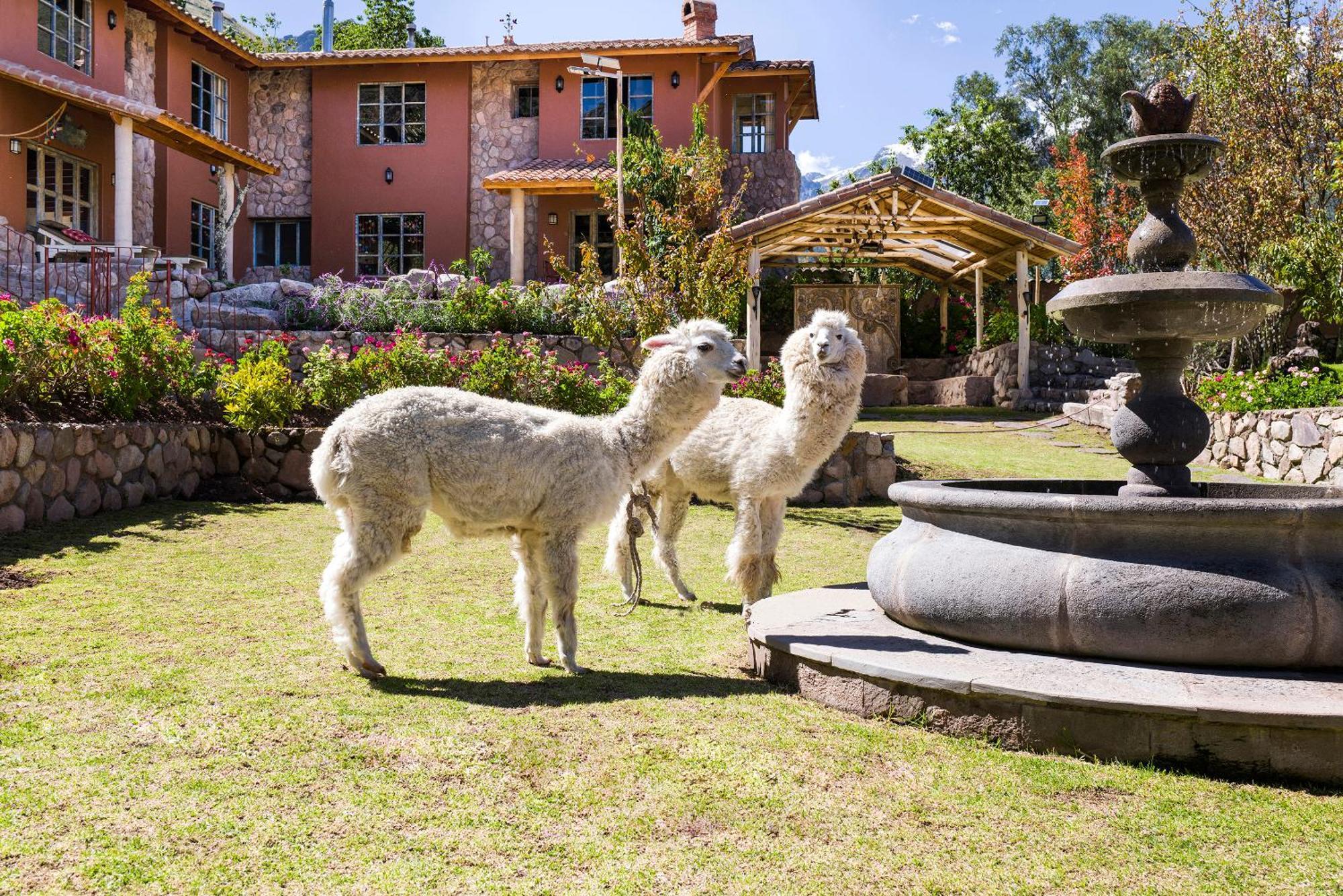 Villa Apu Chicon Urubamba Dış mekan fotoğraf